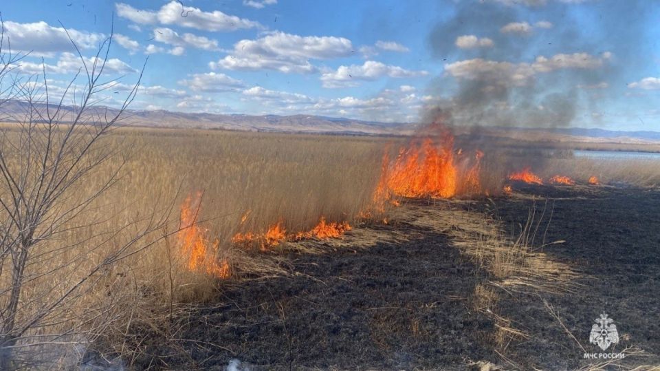 �� ���������� �������� ����� ����������� ������������� �����