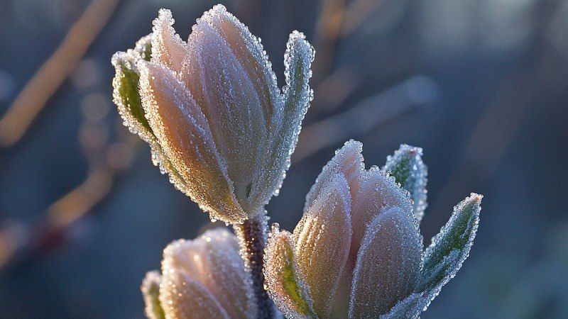 � �������� ����� ��������� ������