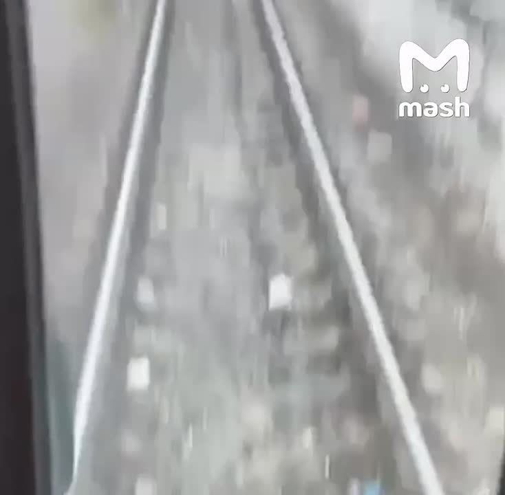 �������� ������ "����" ������ ��������� ����� � ��������������� ������ ��������� � ������