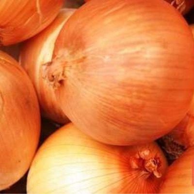 ��� ��������� �������: ������ ���� � ����������� ����������������