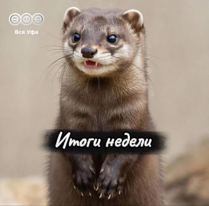 ������������ ��������: ����� ����� ������� ��������� ������ ��� � ����� ��������