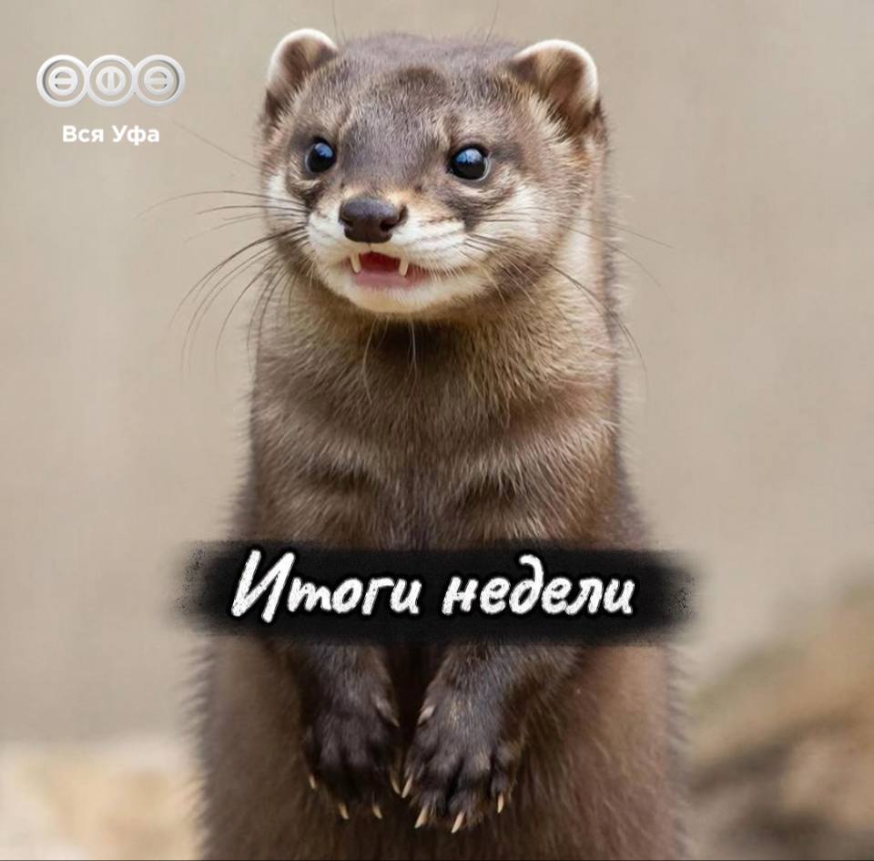 Еженедельный дайджест: самые яркие новости прошедшей недели уже в нашей подборке