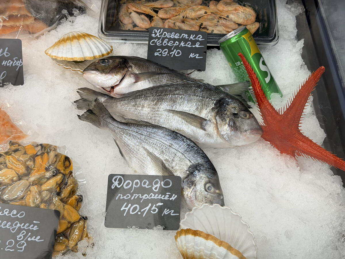 Недорогая красная икра и свежая рыба: открытие нового бистро «Морские сезоны»