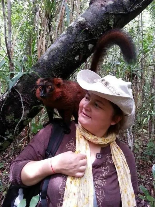 ����� �������: � ������ ����������� ������ ���������������� �������� �������� �������