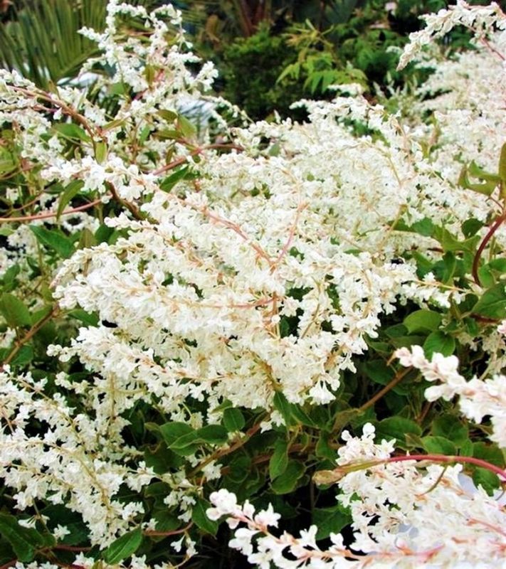 ����� ������ � ����� ����: ��� �������������� ����� ������ ��������� ����������