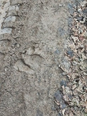 �������� ����� ������������� �������