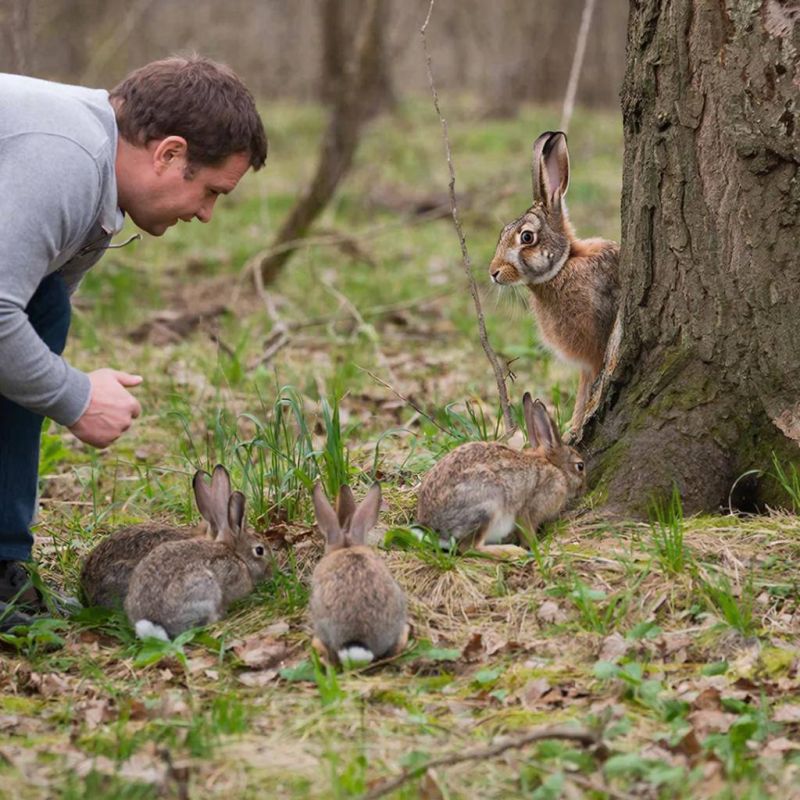 �� �������� ��������� ������ � ����