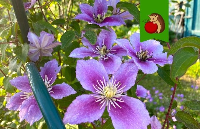 ������� ��������� �������� ����������: ��� ������� ��������� ������� ��� ���� ���������� ����