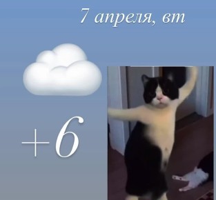 ������ ����! ���� �������� ���!