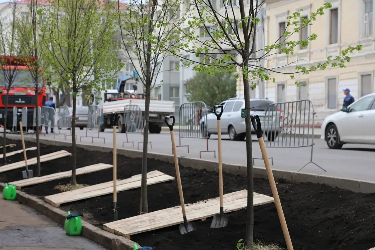 Коммунальные службы Уфы готовятся высадить в сезон свыше 1700 деревьев и более 5400 тысячи кустарников