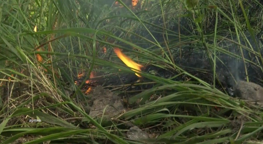 В лесном фонде Башкирии открыли пожароопасный сезон