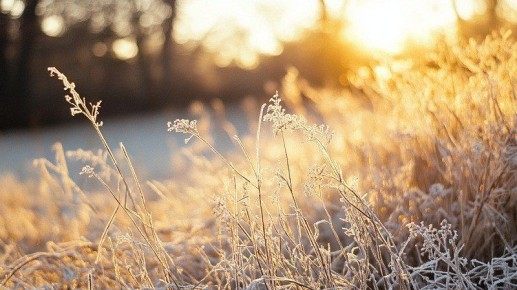 После аномальной жары на Башкирию обрушится резкое похолодание