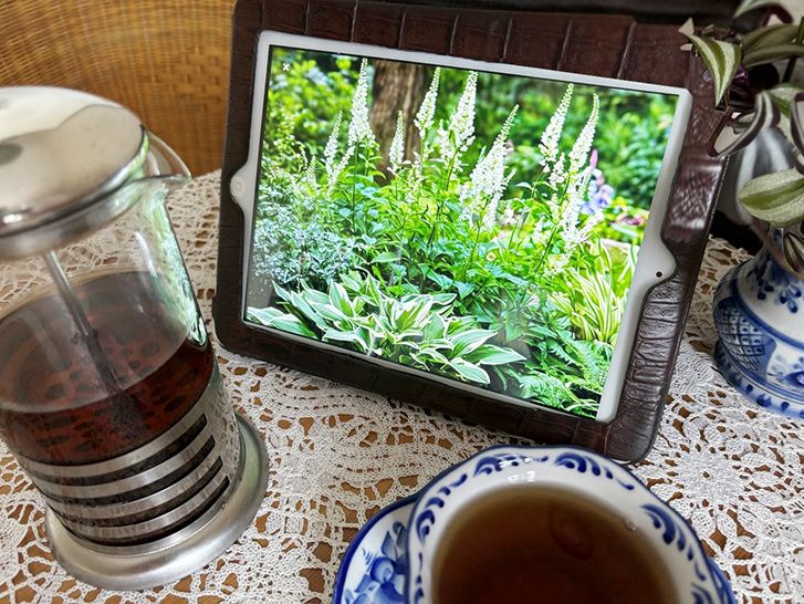 ������� ������������ ������� � �����������: ������ �������� ����������� �� �� ����