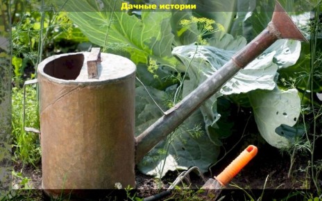 ��� ���������� � ���������� �������: �������, ��������� � ���������� �������