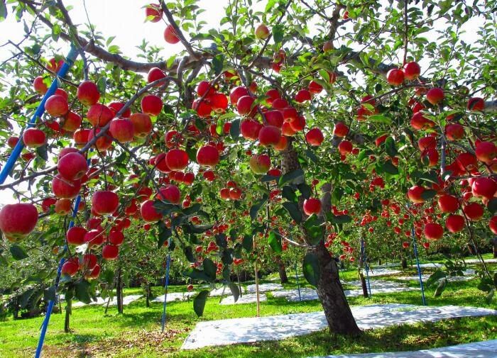 10 ������, ������ ���� ������ �� ����������: ���� �������