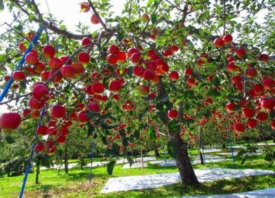 10 ������, ������ ���� ������ �� ����������: ���� �������