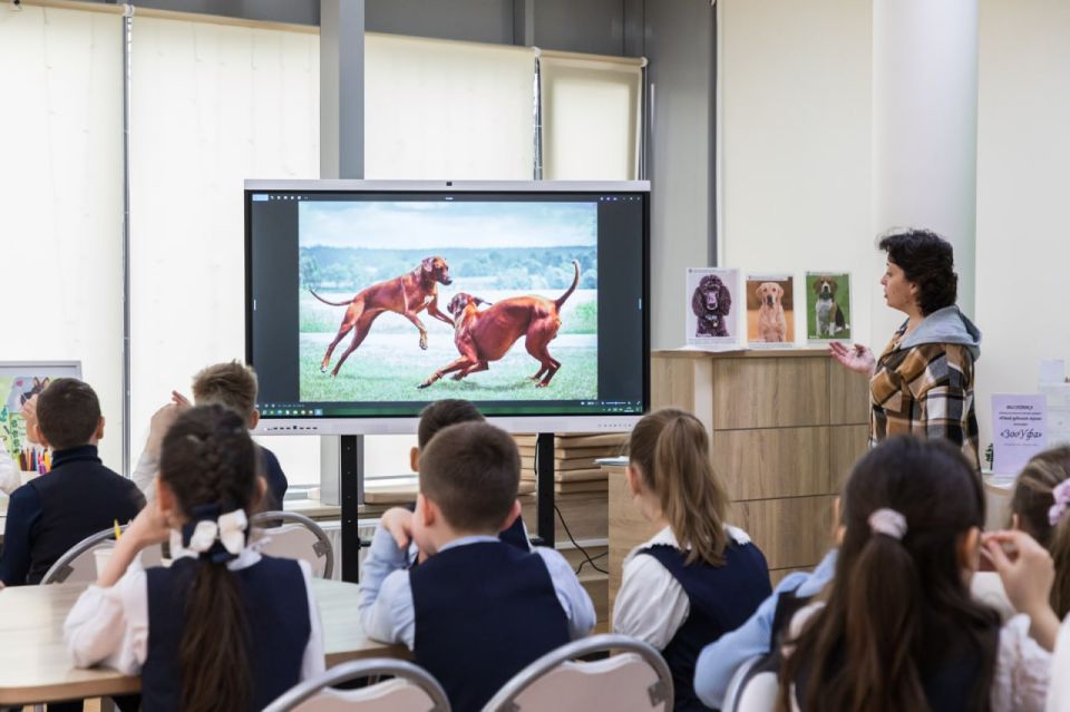 #���������: ������ ������� ������� ��������� ����