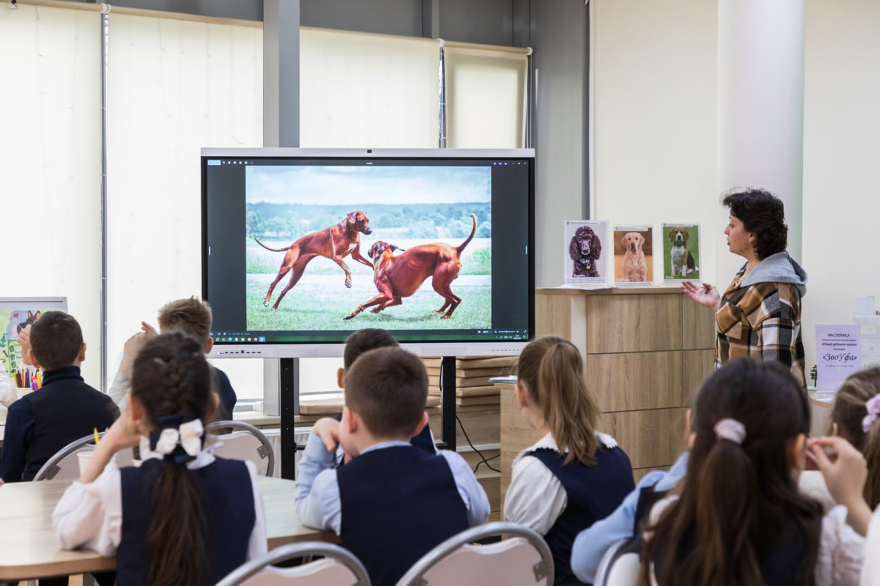 #УфаДобрая: Ратмир Мавлиев посетил «Пушистый клуб» #УфаДобрая: Ратмир Мавлиев посетил «Пушистый клуб»