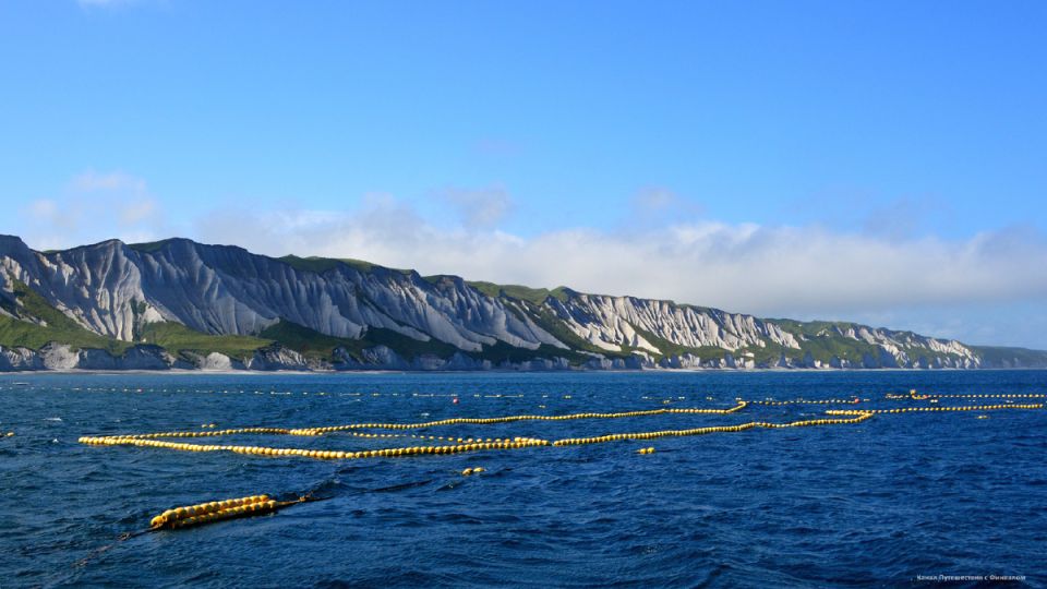 ���������� ������ ��������: ��� ���� ������� ������ �������