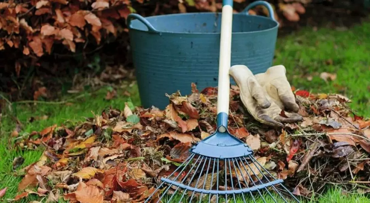 Как осенние хлопоты обеспечат вам богатый урожай на следующий год