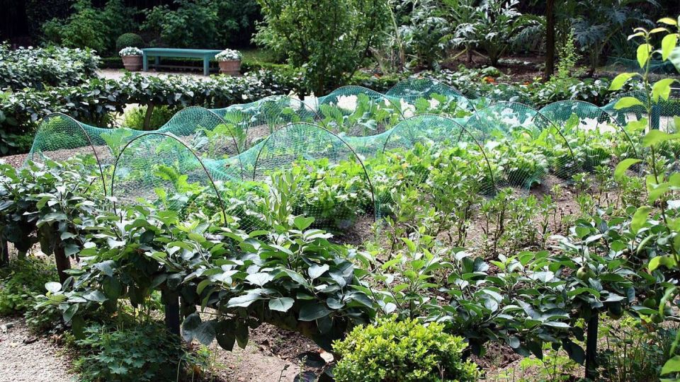 ��� ���������� � ������ ������ � �������: ������ � ������������