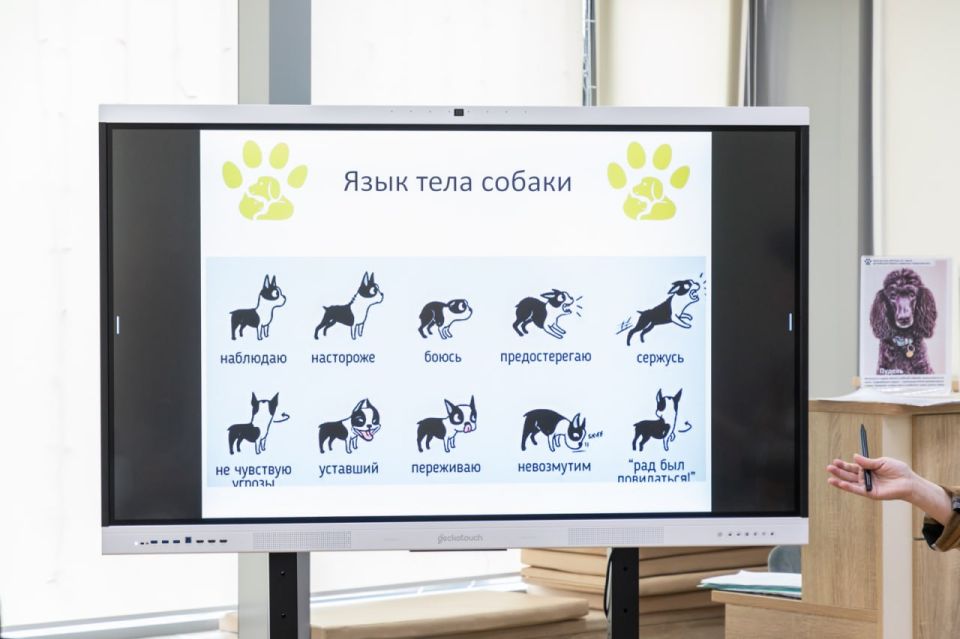 #���������: ������ ������� ������� ��������� ����