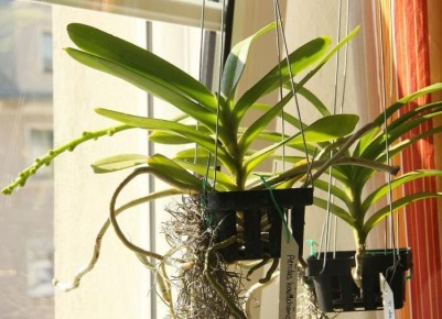 ������ ���� � ��������� ����������� �������