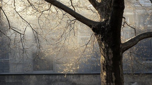 В Башкирию нагрянут сильные дожди