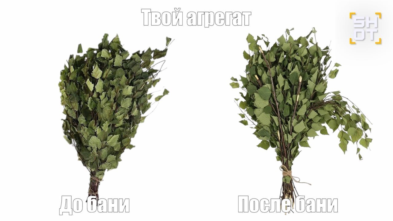 Женатый мужчина сломал пенис во время секса с проституткой в бане в Башкирии