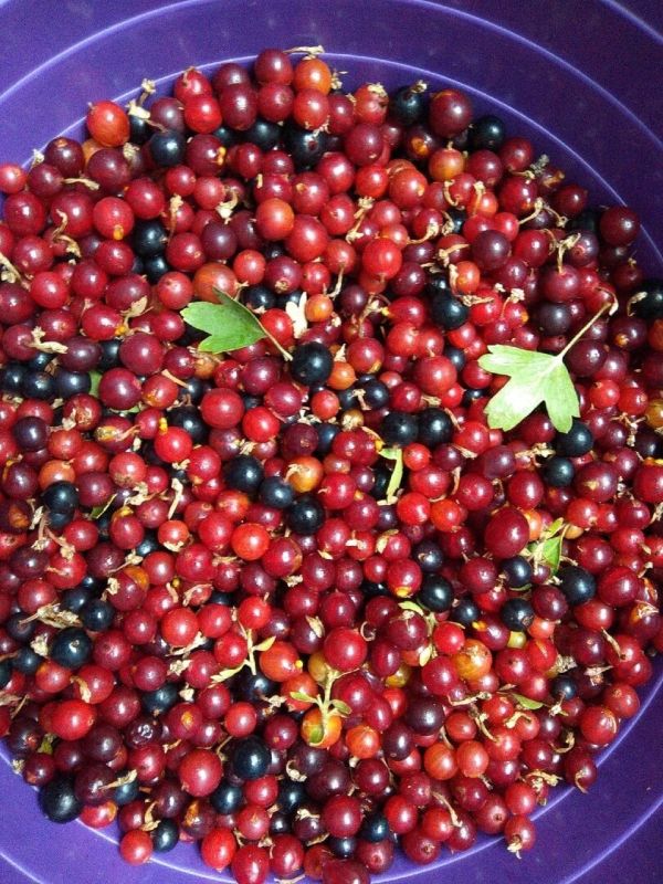 �������� ��� ���� ���� ����: ������ �� ���������� ���������, ������� ����� �����������