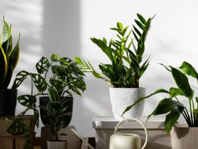 ��� ���������� ���������� ���� ������ �� �������� �������� ��������