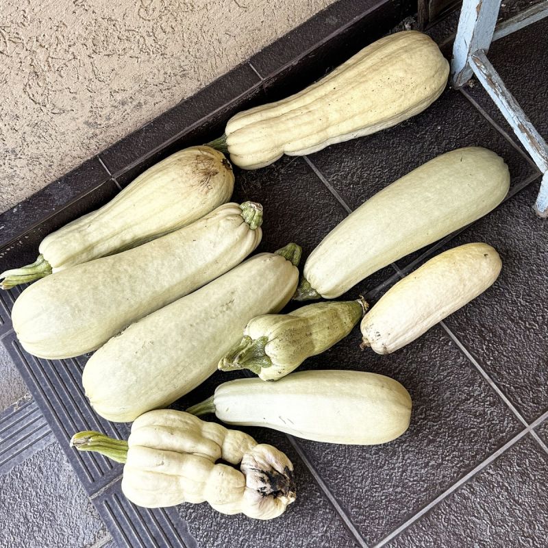 ������ 2025: ��� ������ ��������� �����