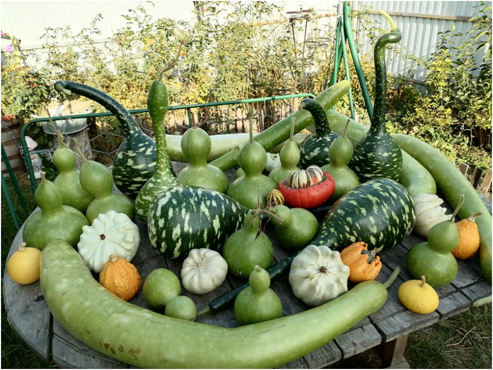 ���������: ��� ��������� ���������� ���� � ���������������� �������