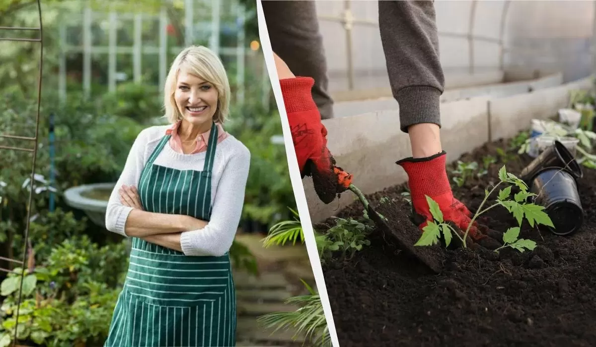 Январь 2026: лучшие советы по посеву для успешного урожая