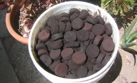 Кофейная гуща: полезное удобрение или потенциальная угроза для растений?