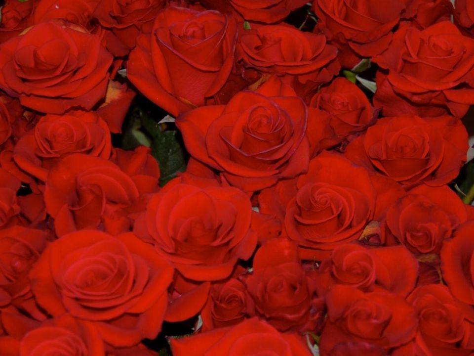 ����� ������ ��������� ����: ��� ������� ������������ � ������ ��� ������