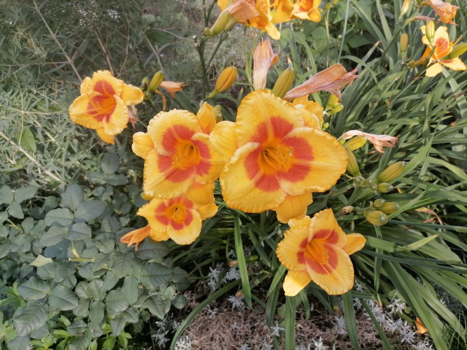 ��������: ��� ������� �������� ������ � ����