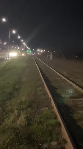 Водитель заметил волков. На обочине трассы Уфа – Мокроусово у поселка Чесноковка автомобилист увидел двух животных, похожих на волков, и сообщил в Минэкологии