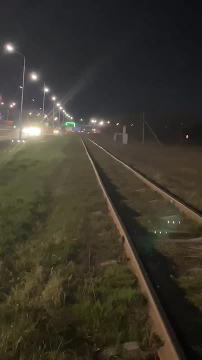 Водитель заметил волков. На обочине трассы Уфа – Мокроусово у поселка Чесноковка автомобилист увидел двух животных, похожих на волков, и сообщил в Минэкологии