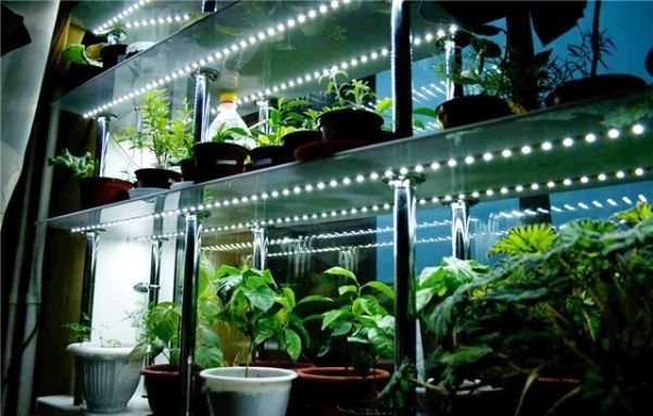 ��� ��������� ������������ ����������������� �������� �������: ������ �� ������ � ������������