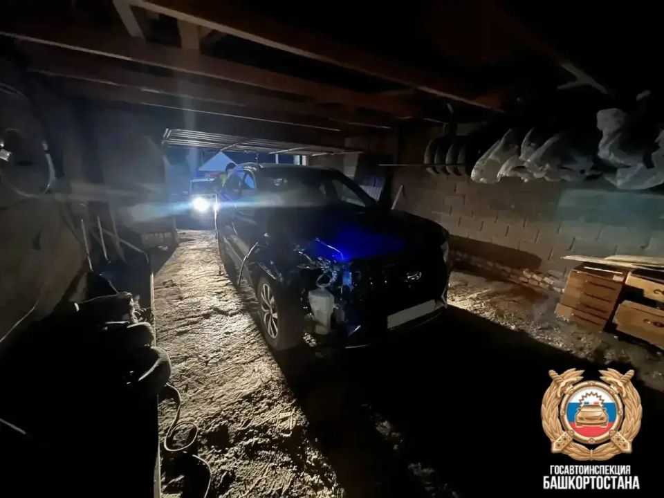 � ��������� ���������� ���������������� ��������� ��������, ������� �������� ���� ��������