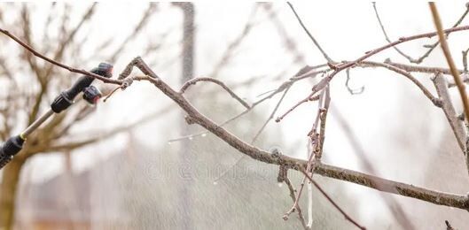 ������ �� ������ ����: ��� ���������� � ����������� � �������� �������