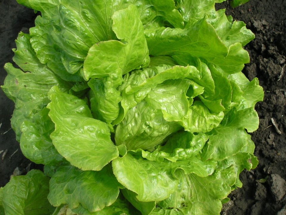 ����� � ����������: ���� �������� ��� ���� � 15 �� 21 ����