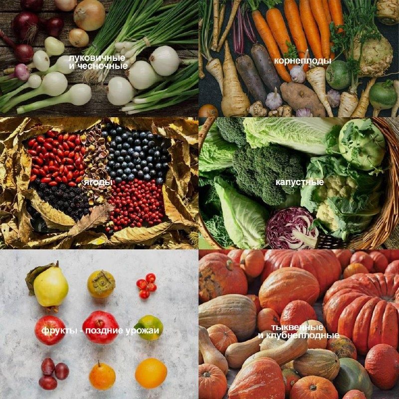 ����� � ������ �����: ��� �������� �������� � ������� �������� ���������