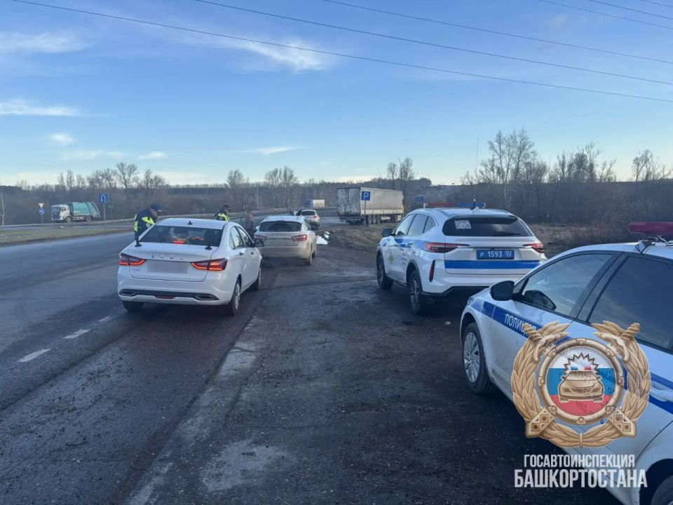 ��������, ��������!. � �������� ���� �� 113 �� ���������� ��� � �������� ���������������� ������ ���������� ��� �������� �������� �������� ���������