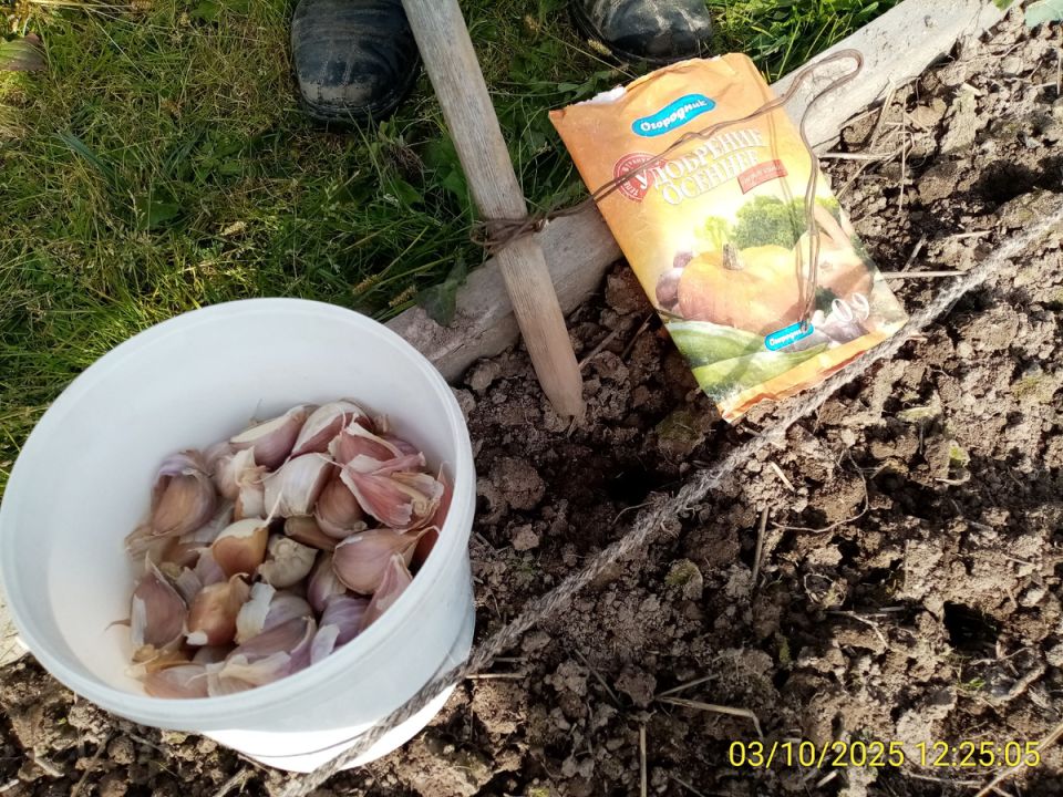 ������ ����� �������� ���������� ������ ��� ������� �������?