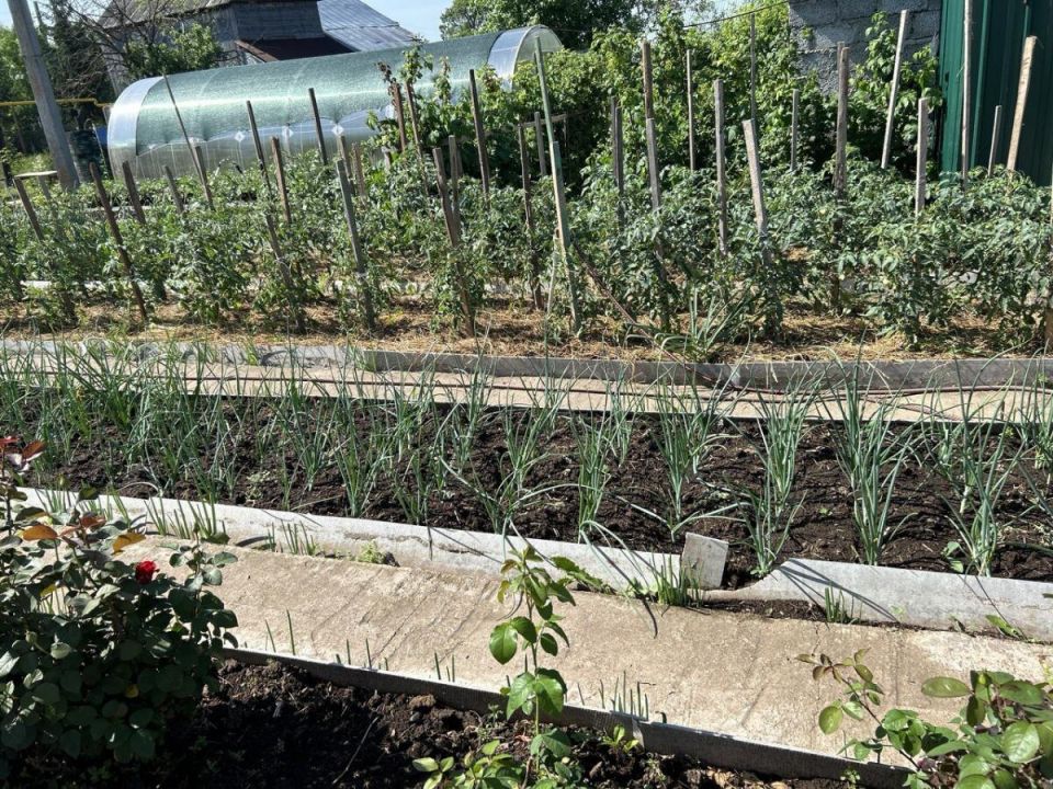 ����������� ������� ��� ������ �������� �� �������� ����������