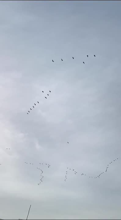 ����� ���� ������������ � ������������