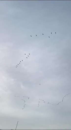 ����� ���� ������������ � ������������