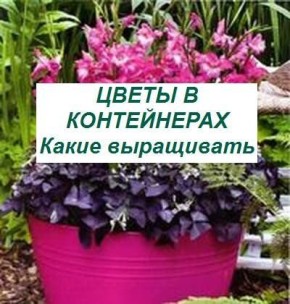 ����� � �����������: ��������� ������� ��� ������ ����